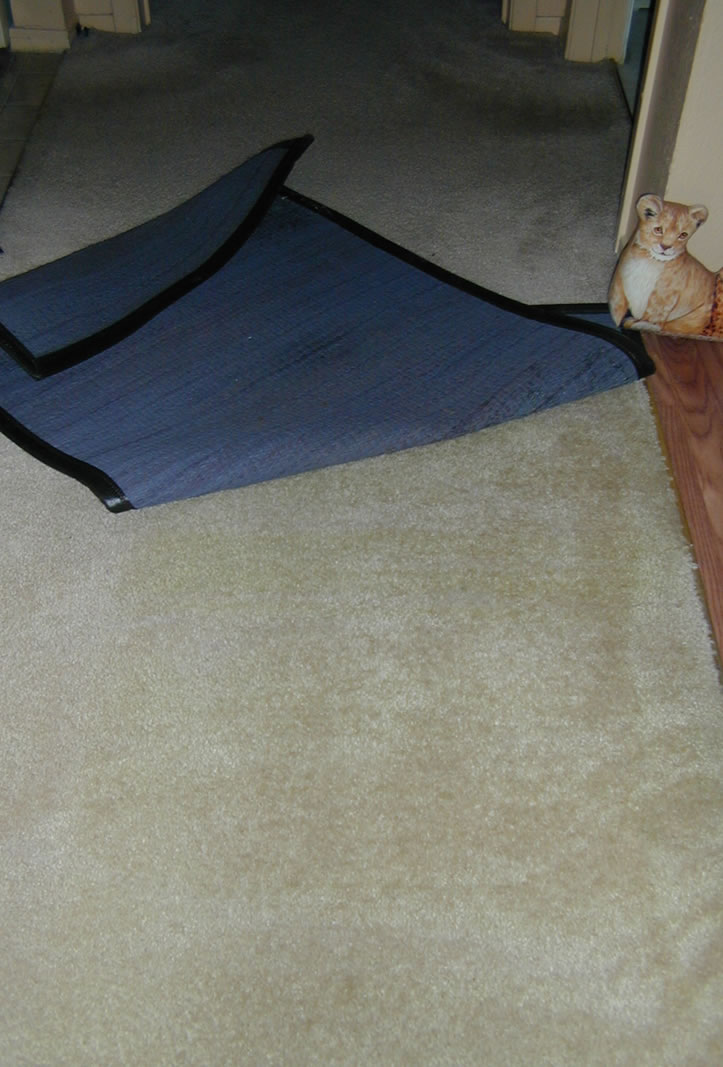 Treated Mat on Carpet