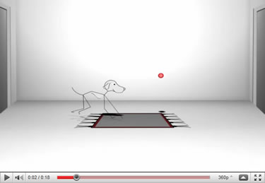 Rug Anchor Video